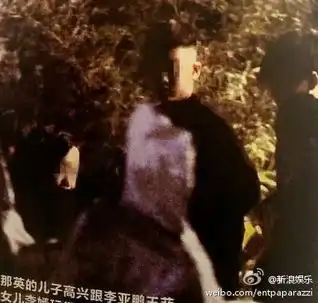 王菲那英联姻亲上加亲王菲那英亲密关系大揭秘