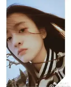 关晓彤张雪迎艺考全国第一深扒二人的演艺之路