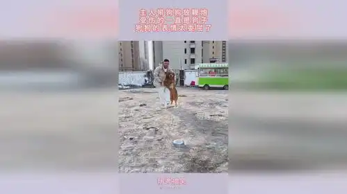 主人带狗狗放鞭炮,受伤的一直是狗子,狗狗的表情太委屈了