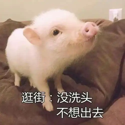 这就是为什么我一年四季都想宅