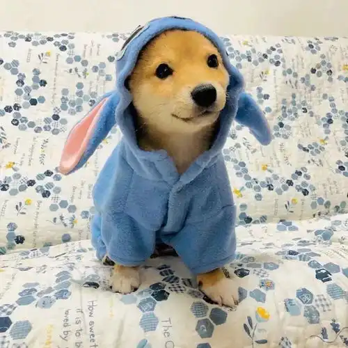 可爱搞怪的微信头像